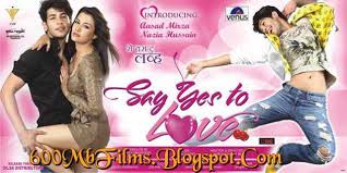 Say Yes to Love, Asad Mirza, Nazia Hussain, Aditya Roy Kapur , 2012