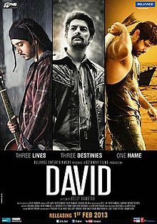 David, Vikram, Lara Dutta, Vinay Virmani, Neil Nitin Mukesh, Tabu, 2013